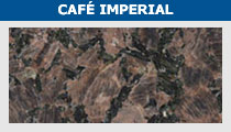 Caf� Imperial